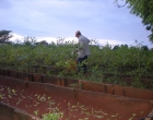 trabajando2