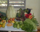 vegetalesB