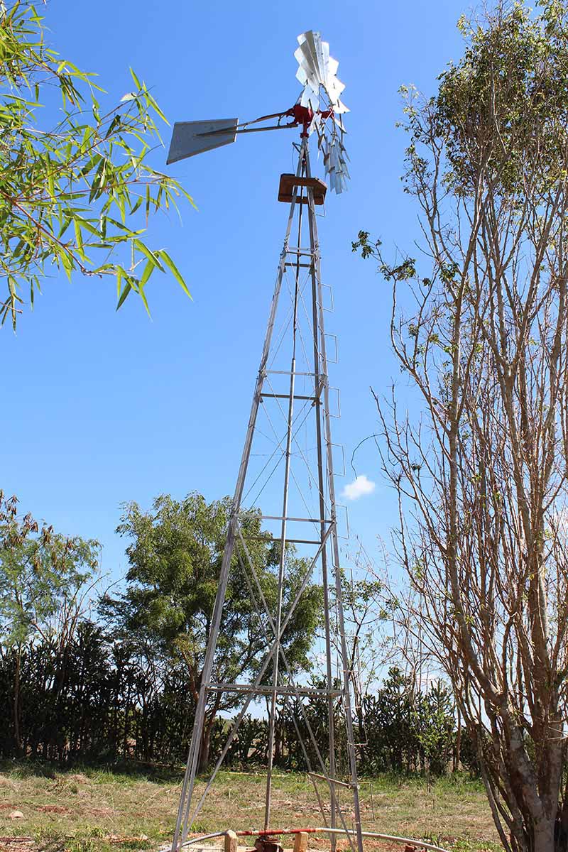 molino2
