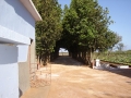 camino4