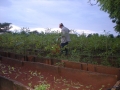trabajando2