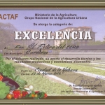 Excelencia 2008