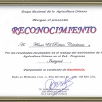 Excelencia 2006