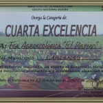 Cuarta Excelencia 2015