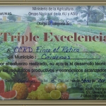 Triple Excelencia 2013