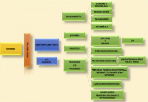 Organigrama CCRD-CUBA