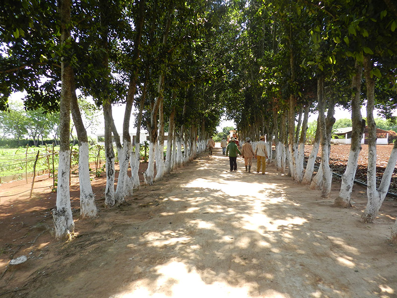 Finca Ecológica El Retiro