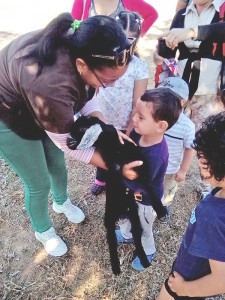 Durante la Actividad asistida con animales