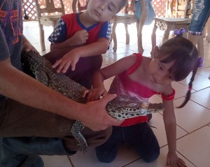 Acción del Programa Psicopastoral del CCRD-C. Actividad asistida con animales