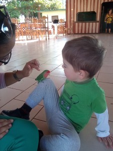 Durante la actividad asistida con animales