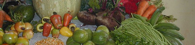 Biosistema Vegetales
