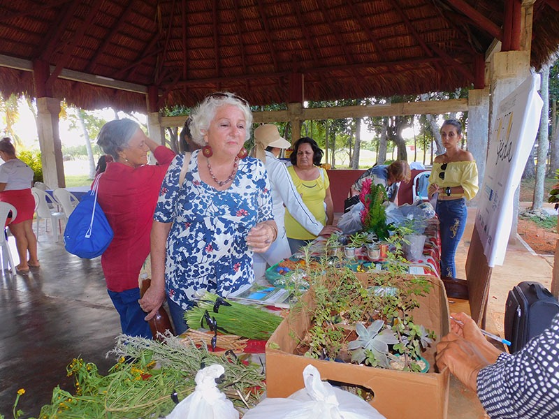 Actividad Ranchón