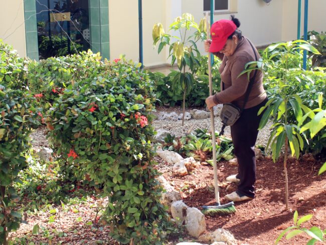 Jardinera Reina1