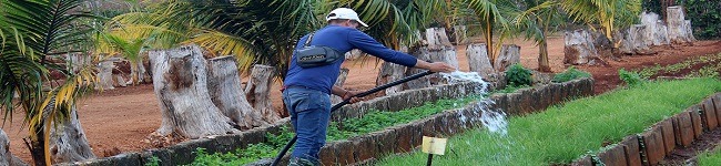 Biosistema regando plantas Biosistema regando plantas