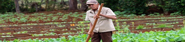 Biosistema trabajando hombre Biosistema trabajando hombre
