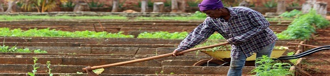 Biosistema trabajando mujer Biosistema trabajando mujer