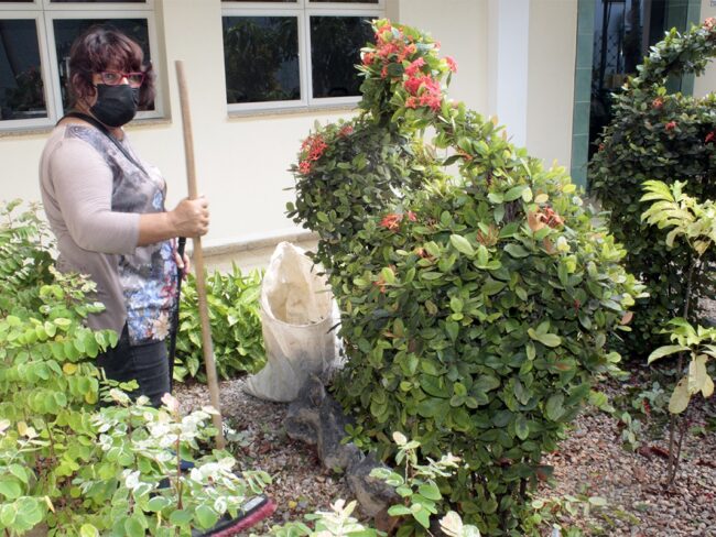 Jardinera Reina Gonzáles Landa